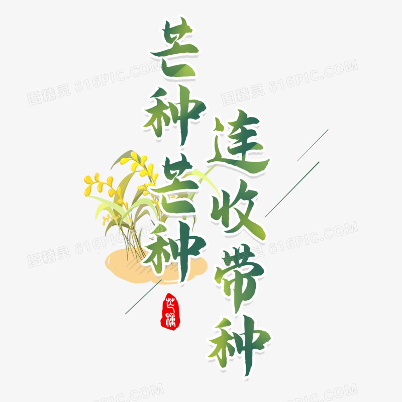 芒种芒种连收带种艺术字