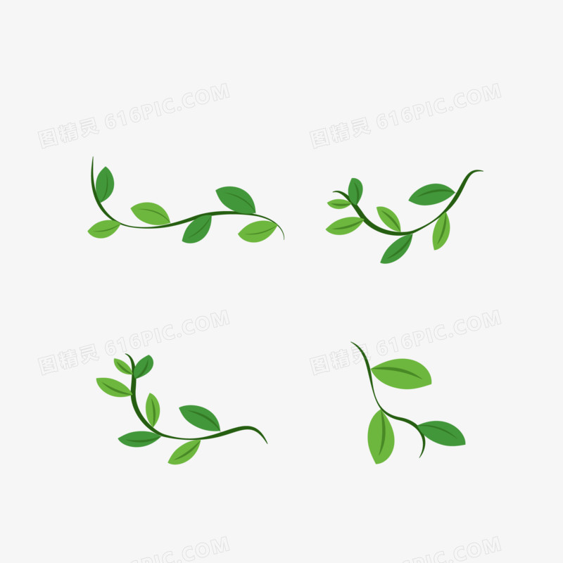 一组绿色叶子植物藤条免抠装饰素材