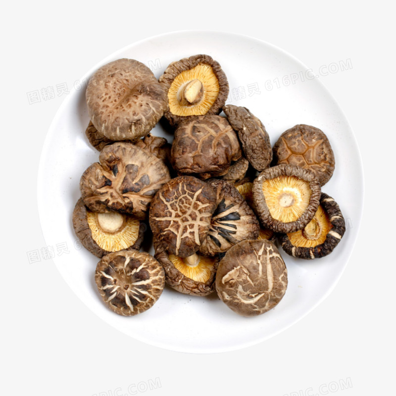 花菇蘑菇