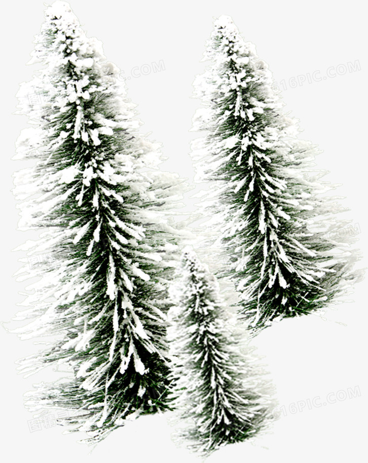 高清摄影冬天雪景松树