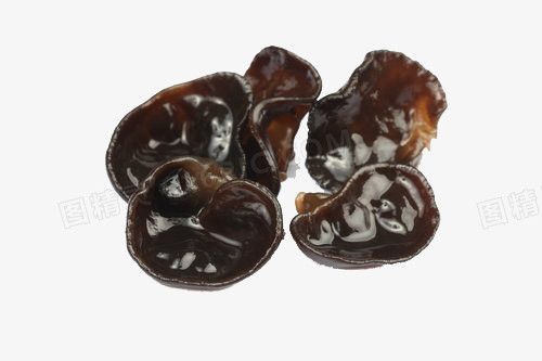 菌类木耳
