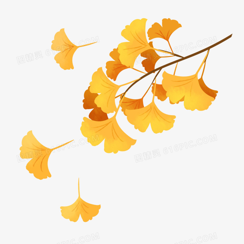 手绘卡通秋天飘拂的银杏叶免抠素材