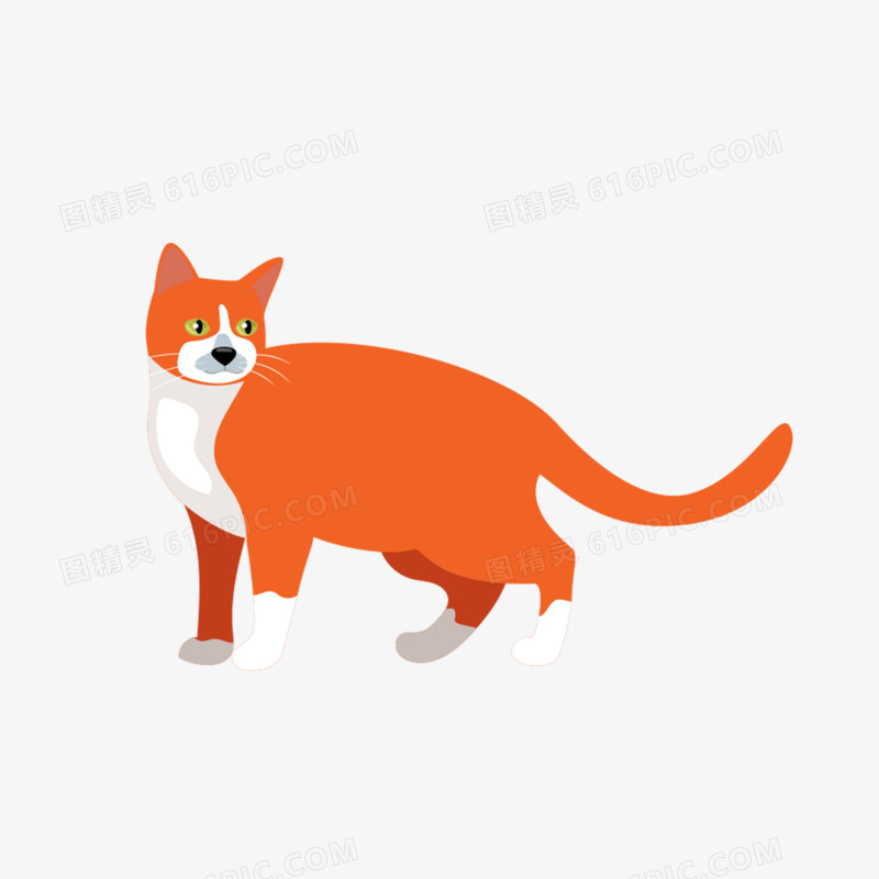 卡通手绘大橘猫免抠元素