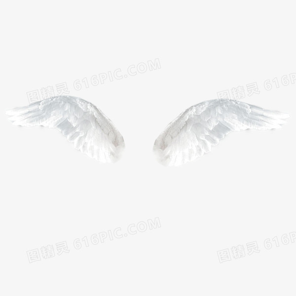 白色透明的翅膀