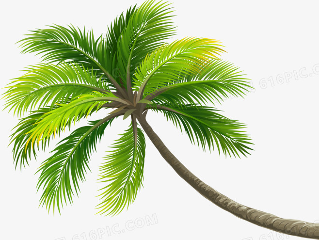 绿色热带卡通椰树创意