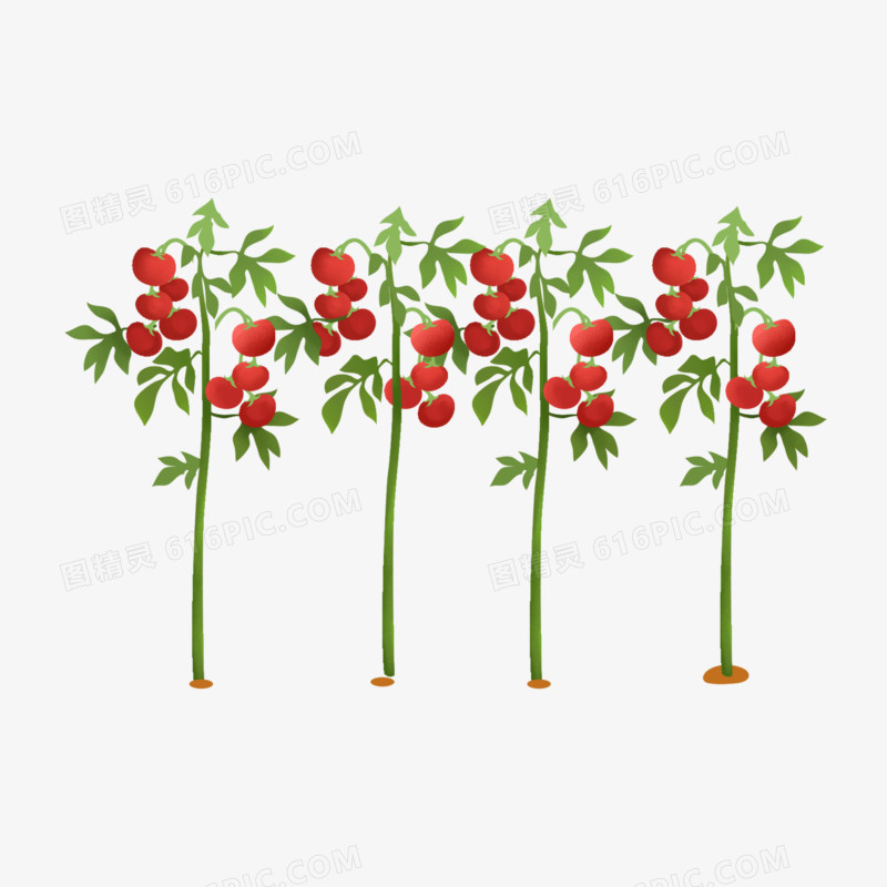 卡通手绘种植西红柿免抠元素
