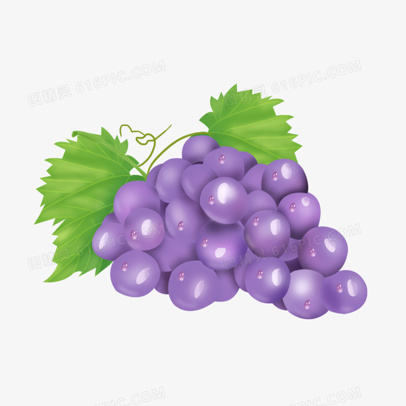 卡通手绘一串紫色葡萄免抠素材