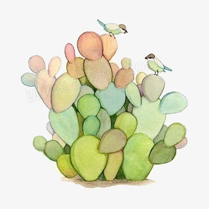 植物
