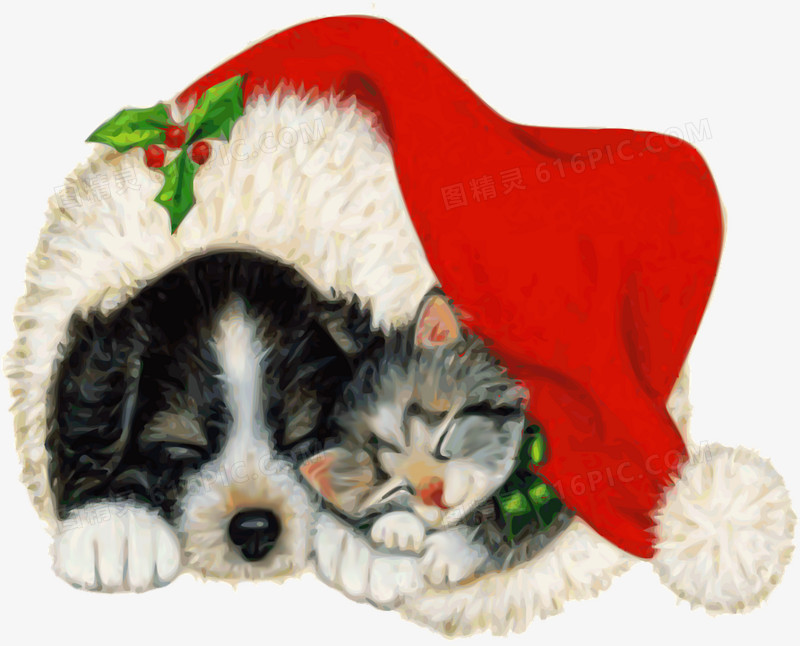盖着圣诞帽的猫和狗