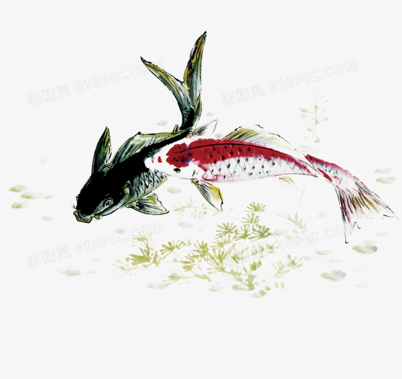 水墨红鲤鱼双鱼中国风