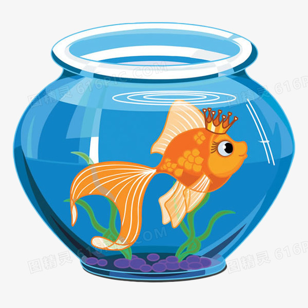 养在鱼缸里的金鱼公主