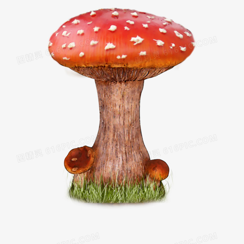 小花蘑菇png素材