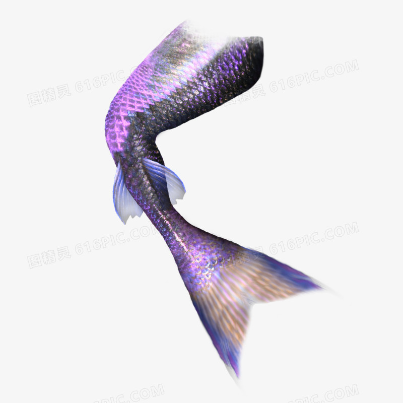 紫色漂亮美人鱼尾巴