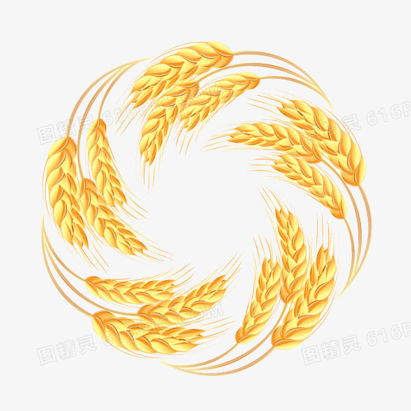 关键词:              黄色手绘圆圈小麦粮食稻谷