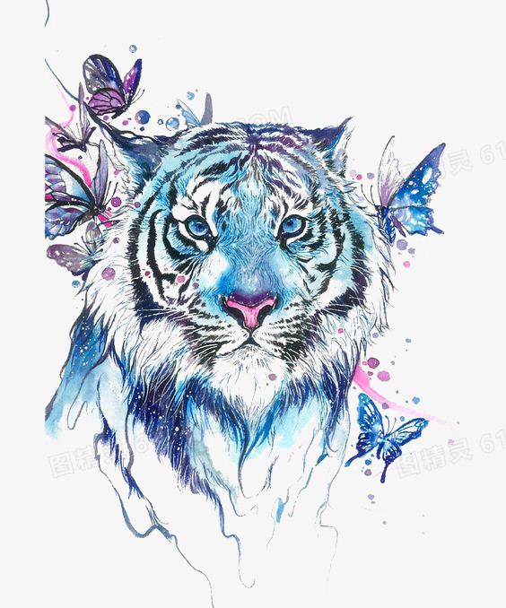 关键词:老虎蓝色蝴蝶喷溅水彩插画卡通手绘图精灵为您提供水彩老虎