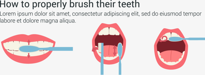 如何正确刷牙图片演示矢量素材