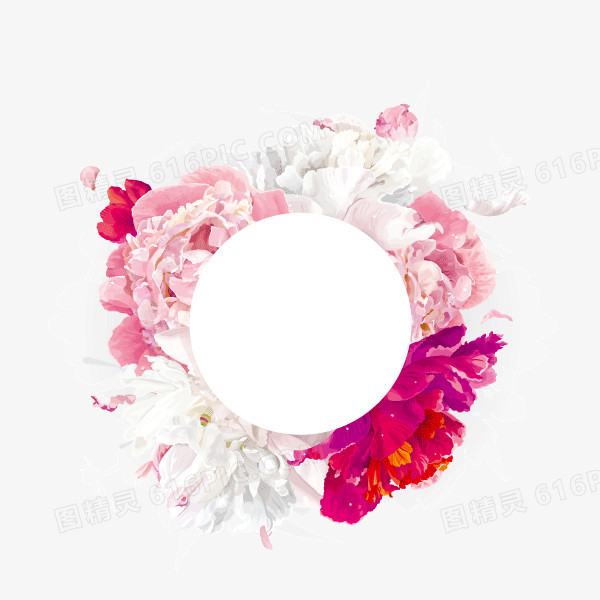 文案背景元素 红色粉色 圆环 花卉