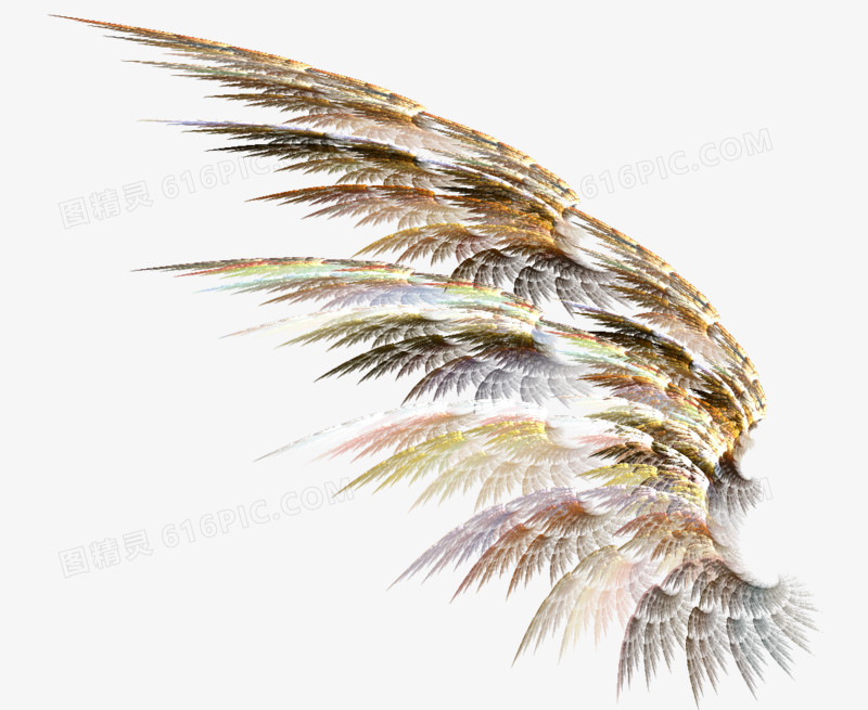 彩色翅膀羽毛素描图片 炫酷翅膀