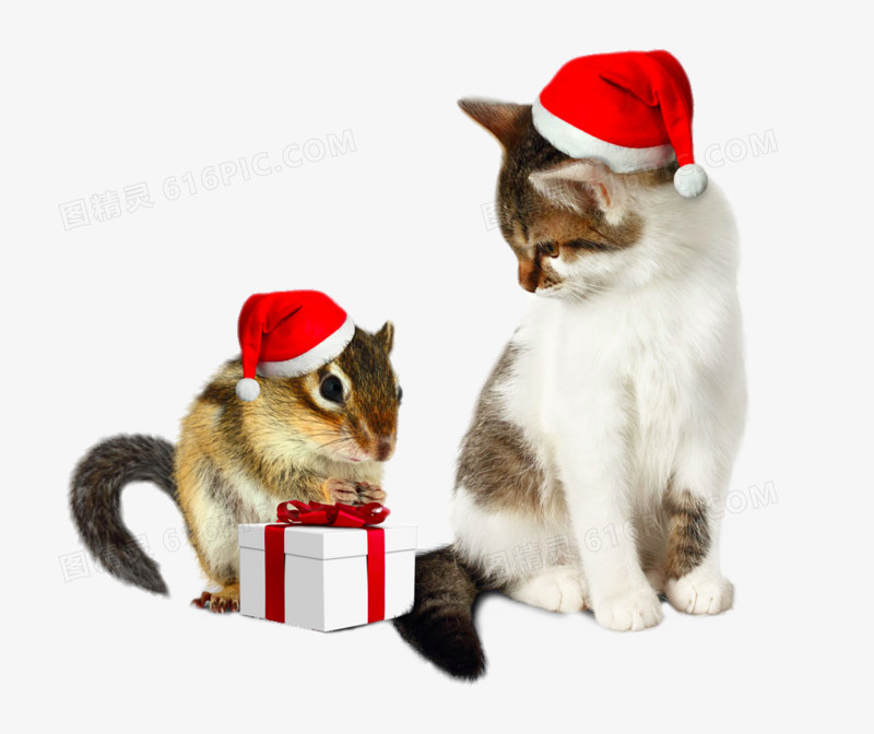 戴着圣诞帽的猫和老鼠