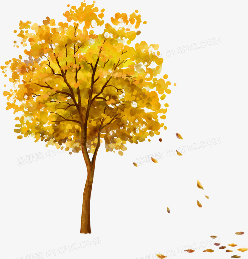 秋天手绘树木插画素材