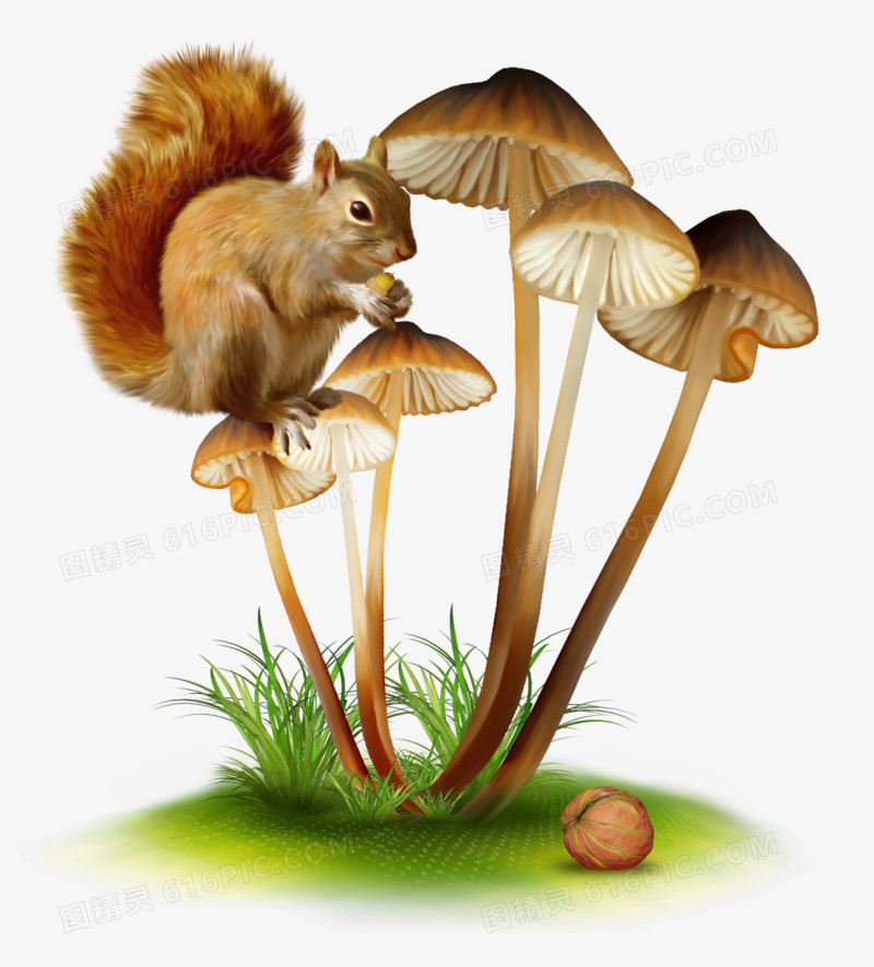 童话世界卡通手绘蘑菇