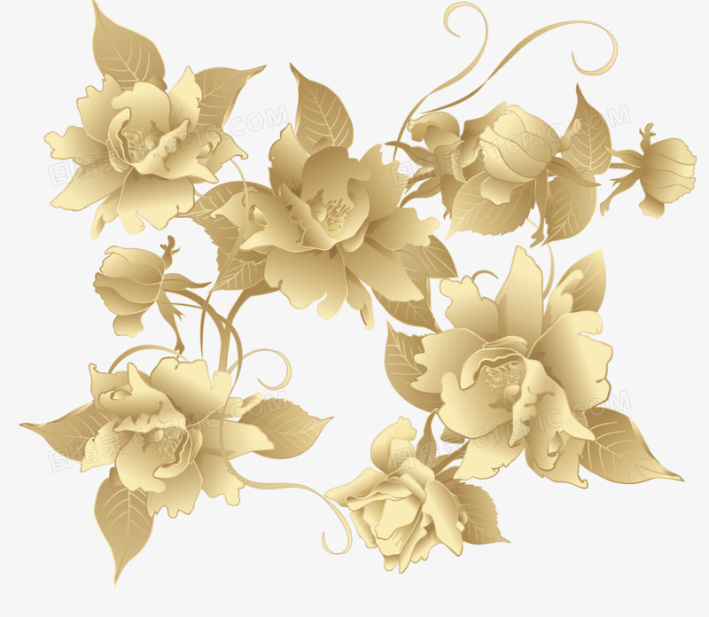 手绘金色的芙蓉花
