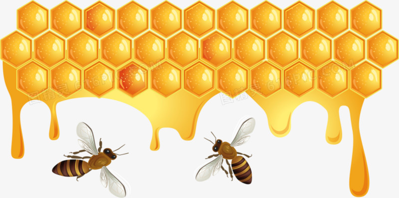 卡通手绘蜜蜂卡通小蜜蜂执子之手与子偕老蜜蜂采蜜蜂巢蜜火与冰蜜蜂花