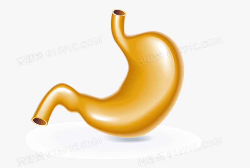 卡通人体器官矢量图