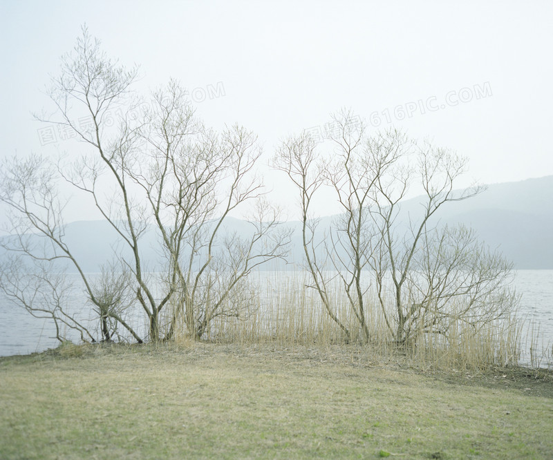 蓝天白云山峰海水树林