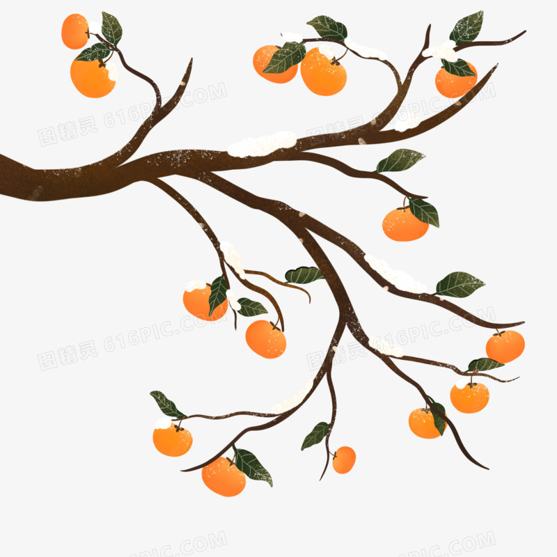 手绘橘子树免抠元素