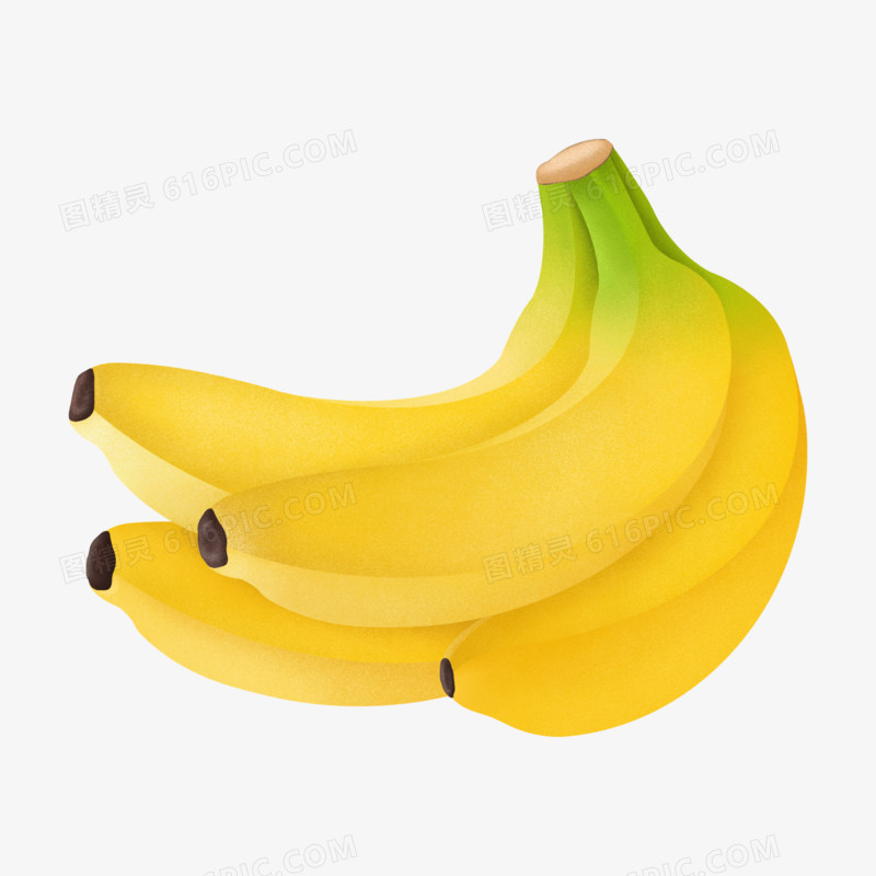 手绘插画风香蕉免抠元素