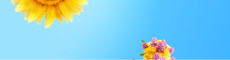 淘宝首页banner