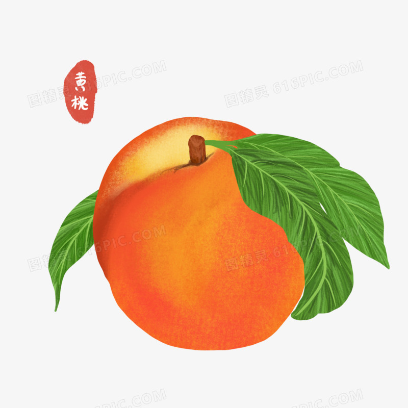 卡通手绘植物桃子元素