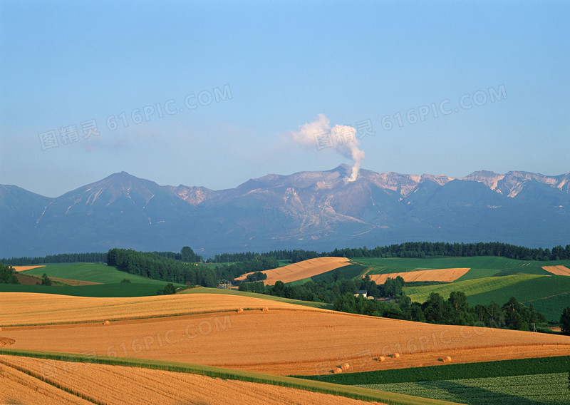 黄色平原田野天空