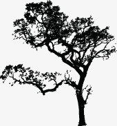 黑色大树剪影欧式花纹