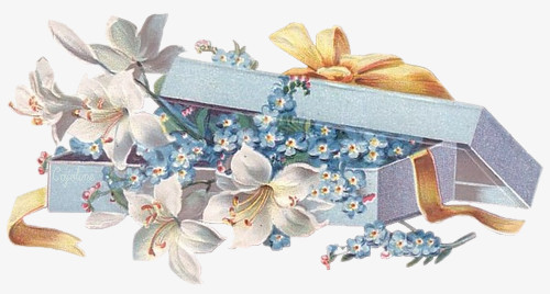 森林系素材唯美元素 精品礼盒蓝色小花