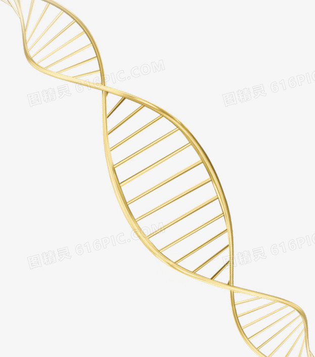 黄色清新DNA效果元素