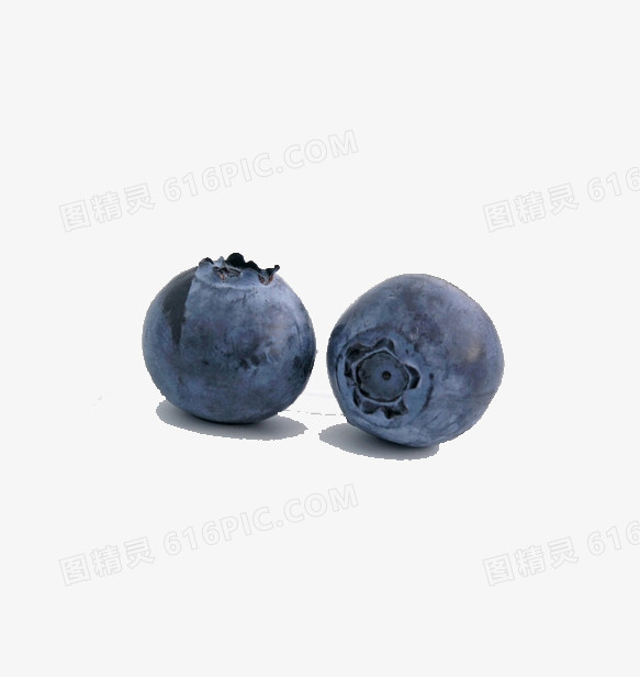 水果 蓝莓  丰收
