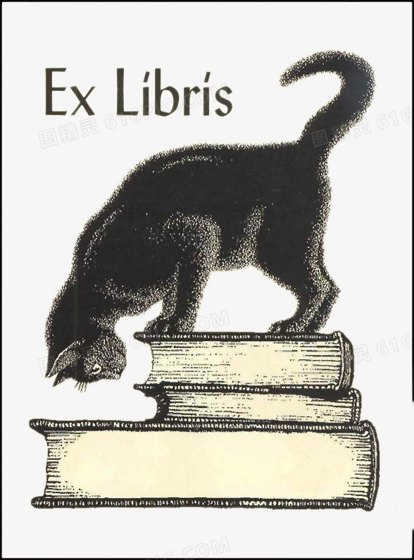 猫与书