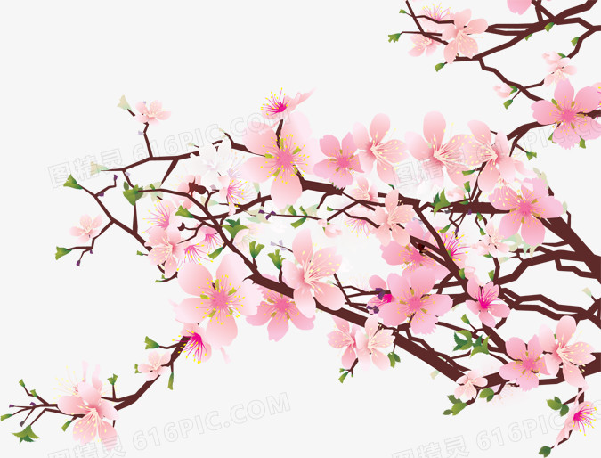 粉色桃花花枝素材手绘