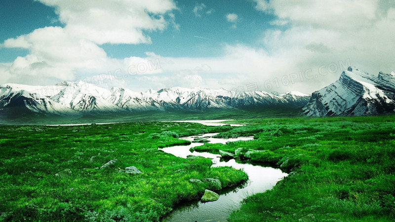 冰川雪山下的绿草地