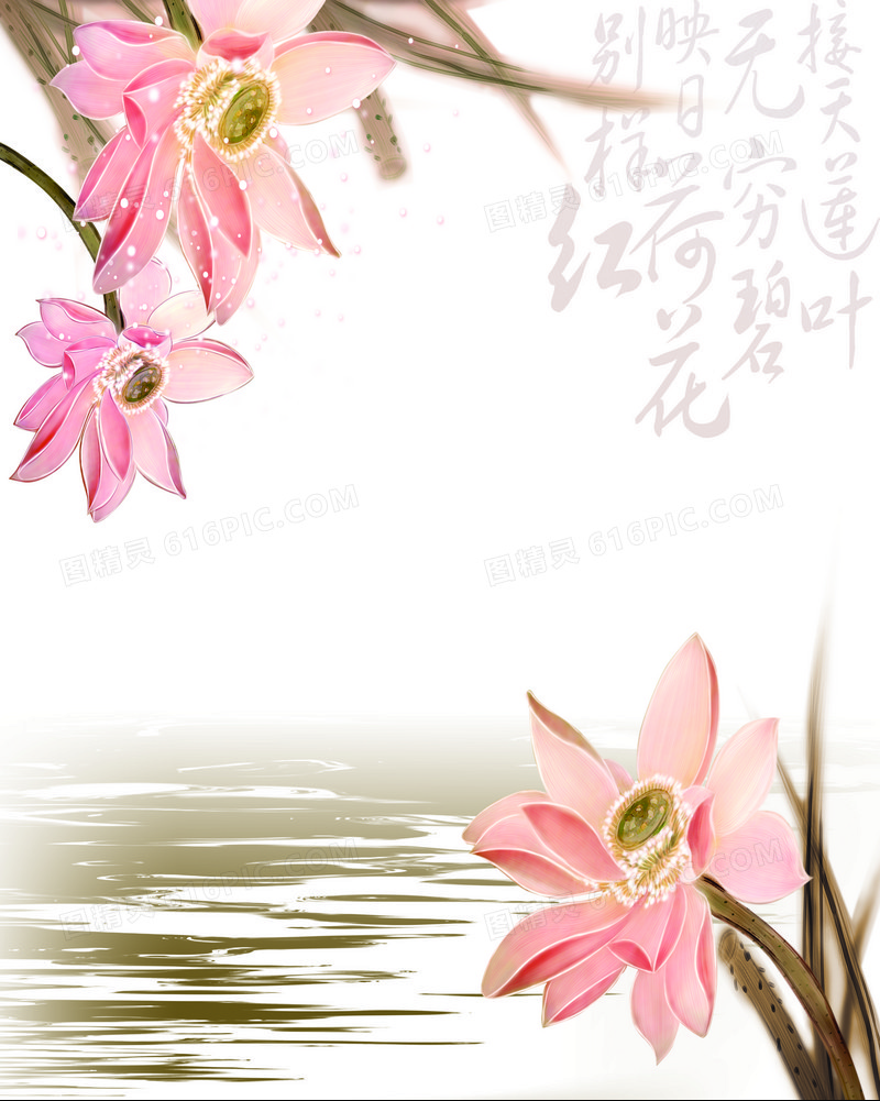 莲花湖泊背景