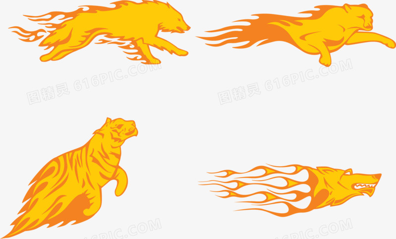 火焰老虎狮子豹子动物特效