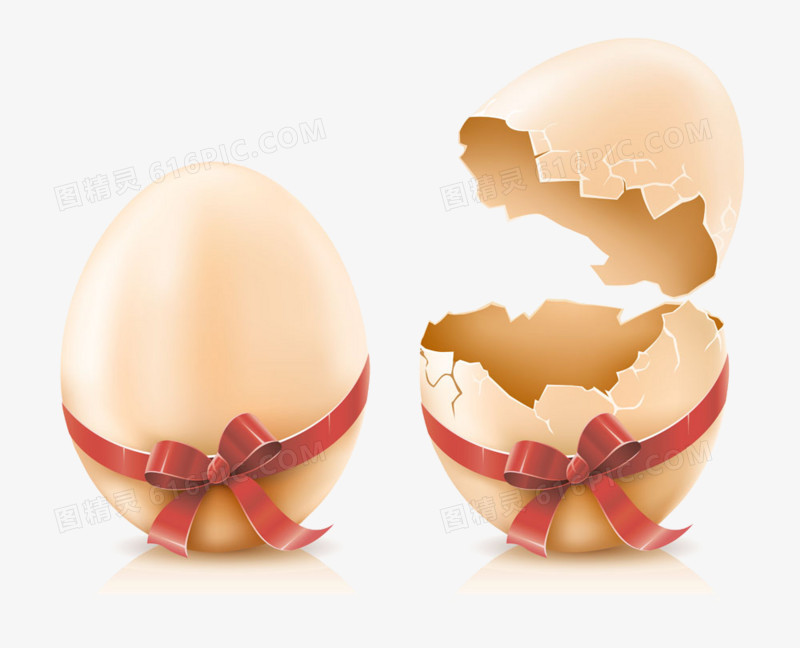 鸡蛋和蛋壳