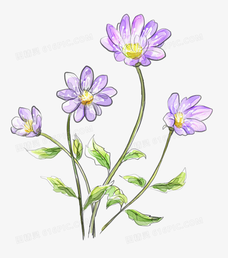 花束背景元素 紫色小花