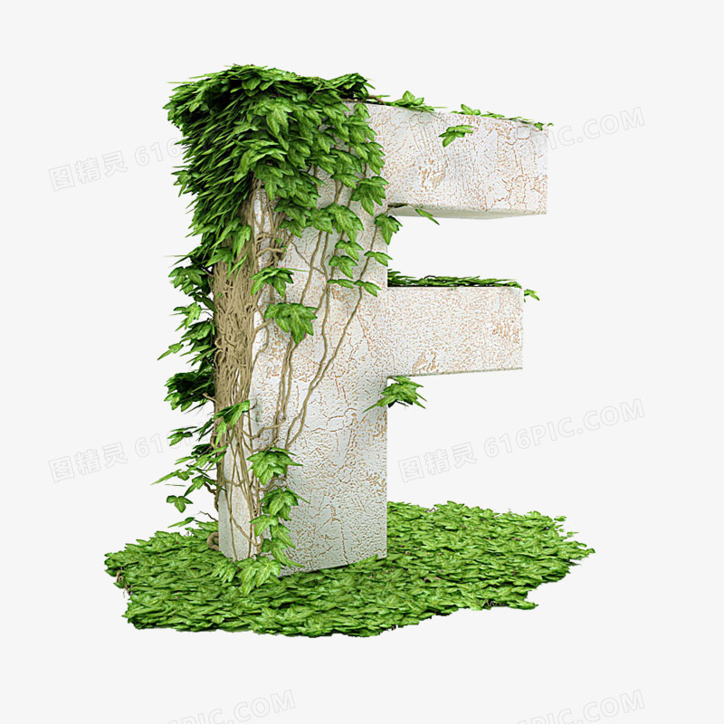 绿植石头字母F