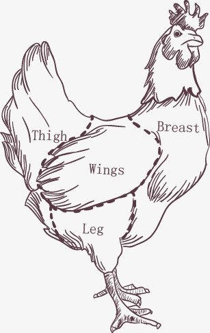 鸡部位分割图