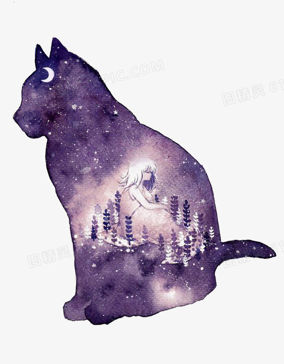 星空猫