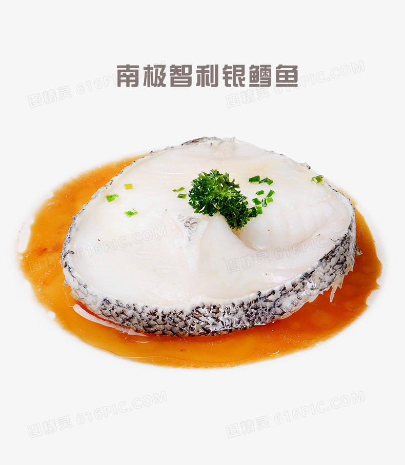 南极智利银鳕鱼
