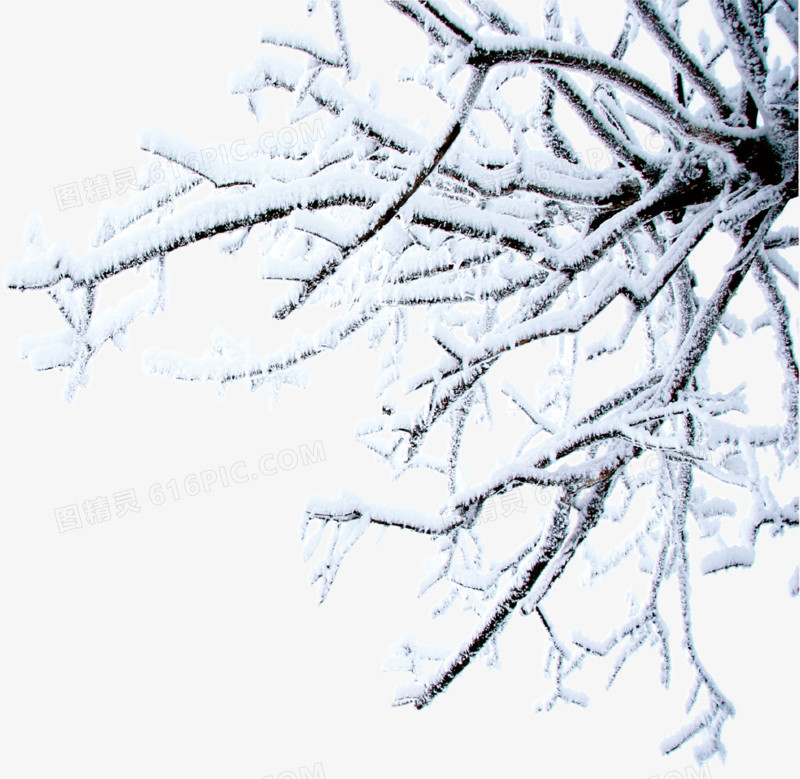 雪景冬日树木